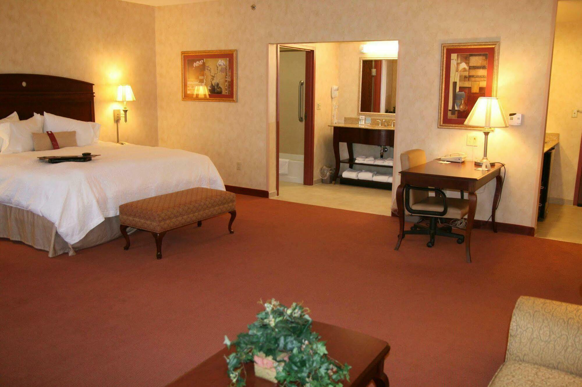 Hampton Inn Owego Zimmer foto